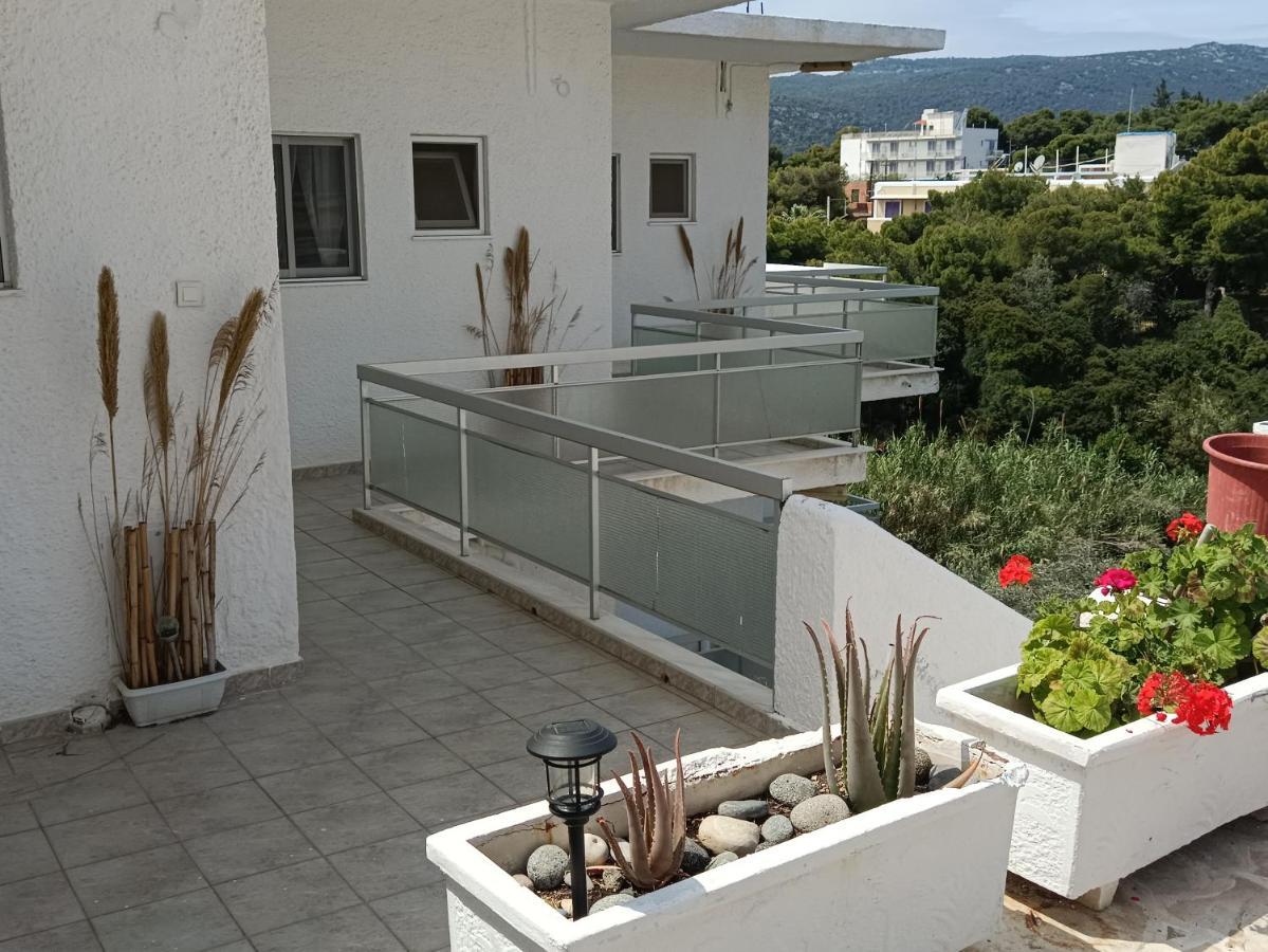 Meltemi Apartments Agia Marina  Экстерьер фото